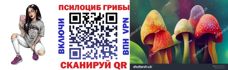цены наркотик  Советская Гавань  Галлюциногенные грибы Psilocybe 